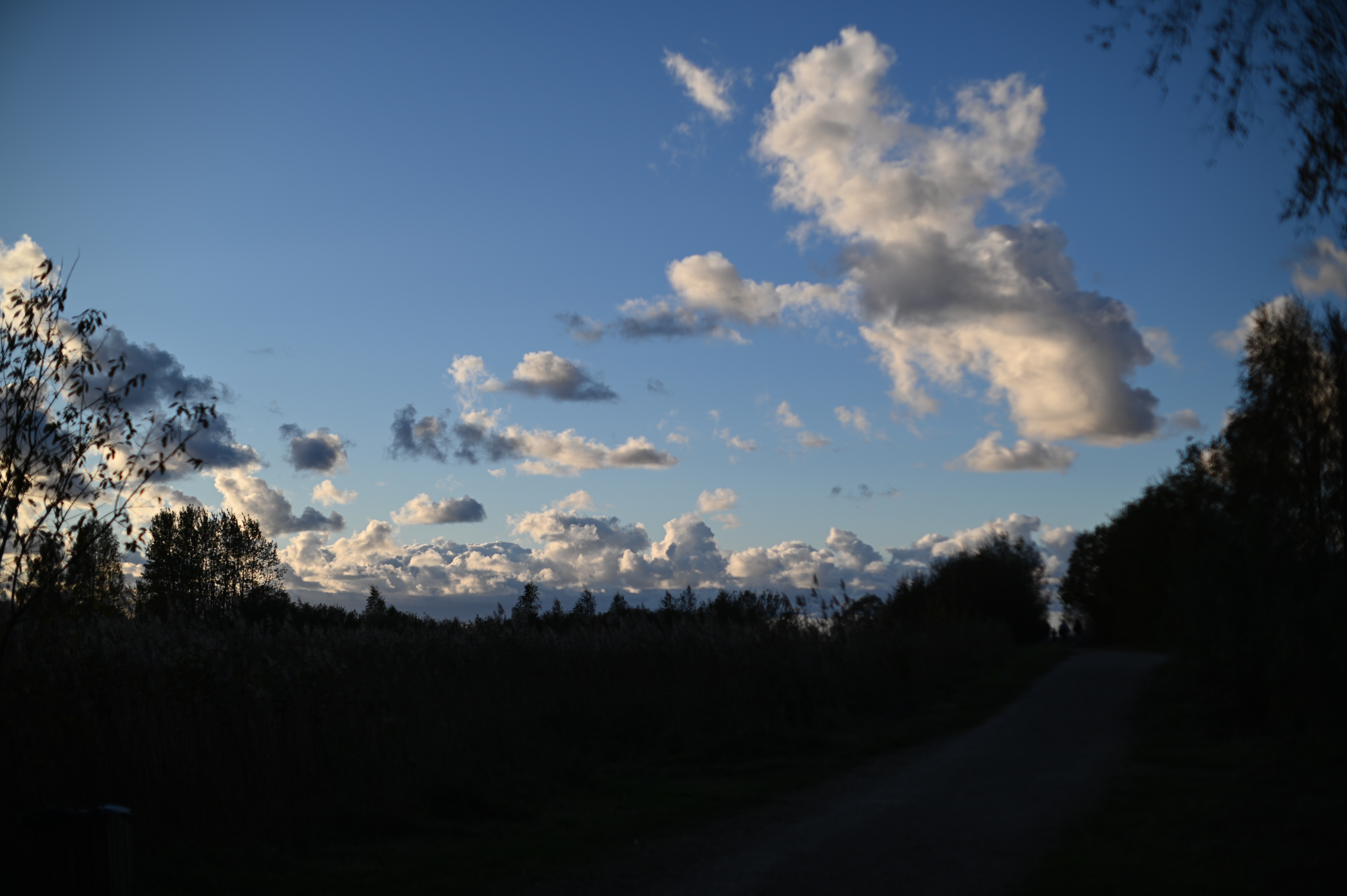 2025/10/18 - walk/DSC_0199.JPG